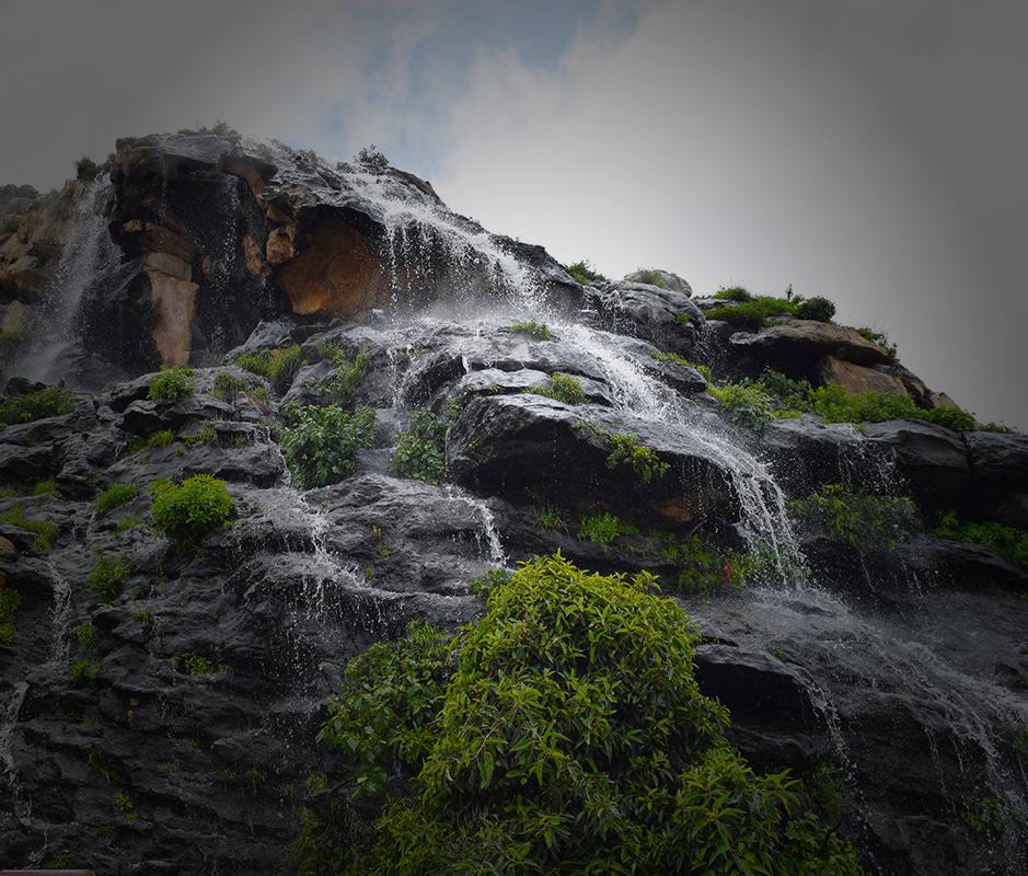 محمية الإمام فيصل بن تركي الملكية